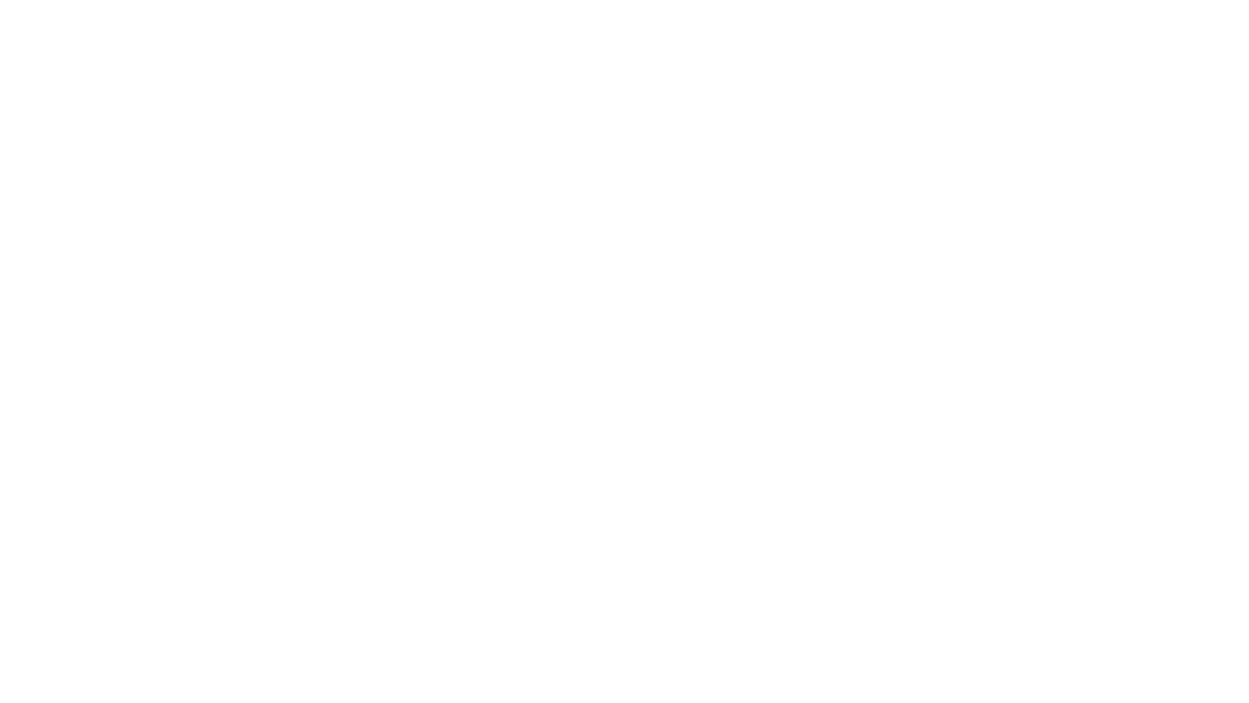 Bison Works Home Improvement logo featuring a stylized bison head and modern typography, emphasizing leather care and home improvement services.