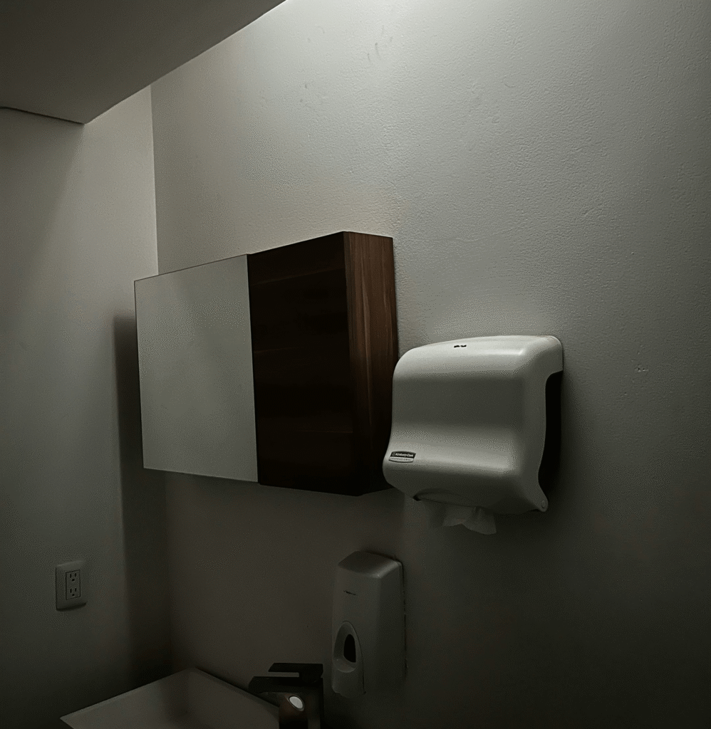 Modern bathroom interior featuring a wooden cabinet, white paper towel dispenser, and sleek sink area, highlighting Bison Works' home improvement craftsmanship.