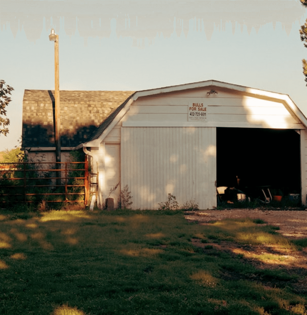 White barn structure with open garage door, grassy yard, and "Bulls for Sale" sign, reflecting home improvement and outdoor space enhancement themes.