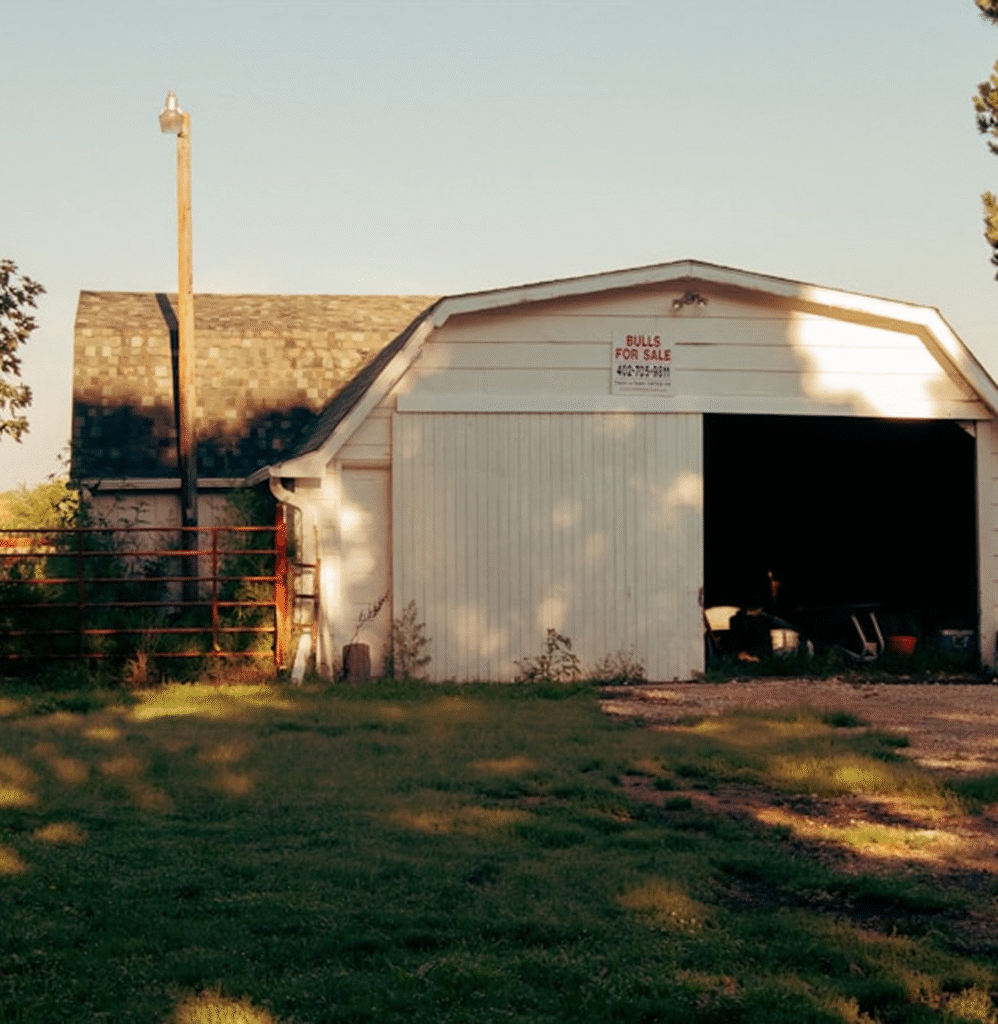 Barn with "Bulls for Sale" sign, grassy area, rustic setting, potential home improvement project backdrop.